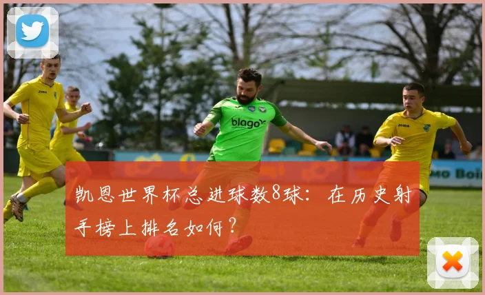 凯恩世界杯总进球数8球：在历史射手榜上排名如何？