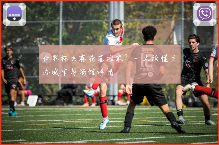世界杯决赛花落谁家？一文读懂主办城市与场馆详情